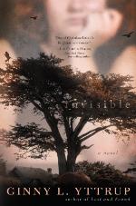 Invisible: A Novel