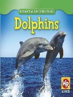 Dolphins