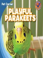 Playful Parakeets