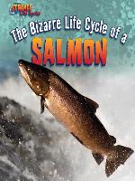 The Bizarre Life Cycle of a Salmon