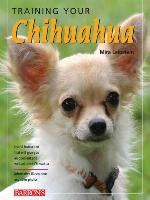 Training Your Chihuahua