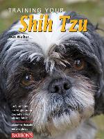 Training Your Shih Tzu