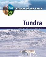 Tundra