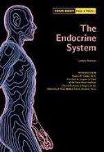 The endocrine system