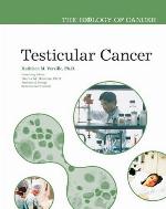 Testicular Cancer
