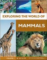 Exploring the world of mammals