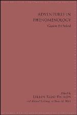 Adventures in Phenomenology