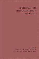 Adventures in Phenomenology