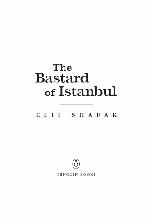 The Bastard of Istanbul