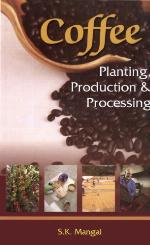 Coffee Planting, Production and Processing