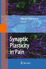 Synaptic Plasticity in Pain