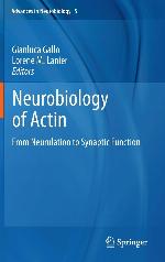 Neurobiology Of Actin