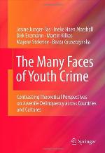 The Many Faces of Youth Crime