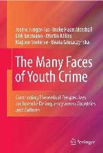 The Many Faces of Youth Crime