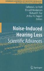 Springer Handbook of Auditory Research, Volume 40