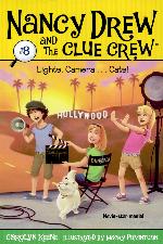 Lights, Camera . . . Cats!