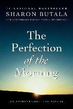 Perfection of the Morning