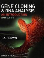 Gene Cloning and DNA Analysis