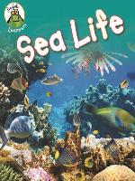 Sea Life