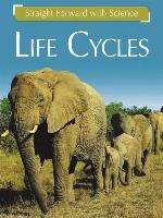 Life Cycles