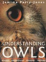 Understanding Owls
