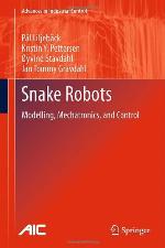 Snake Robots