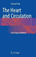 The Heart and Circulation