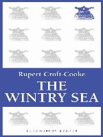 The Wintry Sea