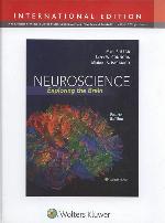 Neuroscience: International Edition: International Edition