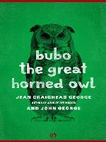Bubo, the Great Horned Owl