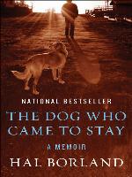 Dog Who Came to Stay