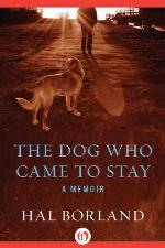The Dog Who Came to Stay