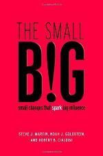 The small BIG