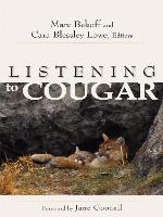 Listening to Cougar