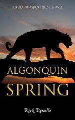 Algonquin Spring: An Algonquin Quest Novel (An Algonguin Quest Novel, 2)