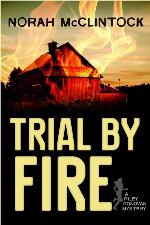 Trial by Fire (Riley Donovan, 1)