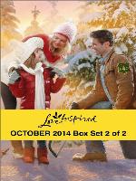 Love Inspired October 2014 - Box Set 2 of 2: Alaskan Sweethearts\The Forest Ranger's Christmas\A Home for Her Family