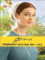 Love Inspired February 2015 - Box Set 1 of 2: A Match for Addy\Hometown Valentine\Healing the Widower's Heart\Big Sky Homecoming