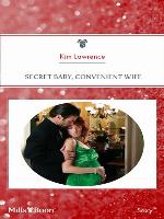 Secret Baby, Convenient Wife