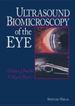 Ultrasound Biomicroscopy of the Eye.