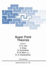 Super Field Theories