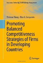 Promoting Balanced Competitiveness Strategies of Firms in Developing Countries