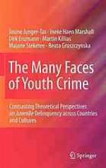 The Many Faces of Youth Crime