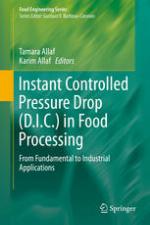 Instant Controlled Pressure Drop (D.I.C.) in Food Processing