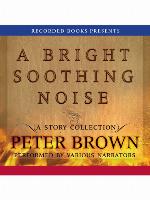 A Bright Soothing Noise