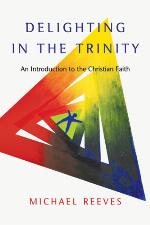 Delighting in the Trinity : an introduction to the Christian faith