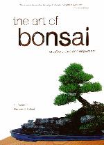 Art of Bonsai