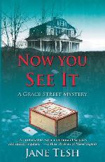 Now You See it: A Grace Street Mystery (Grace Street Mysteries, 3)