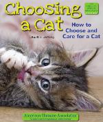 Choosing a Cat