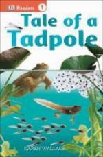 Tale of a Tadpole (DK Readers L1)